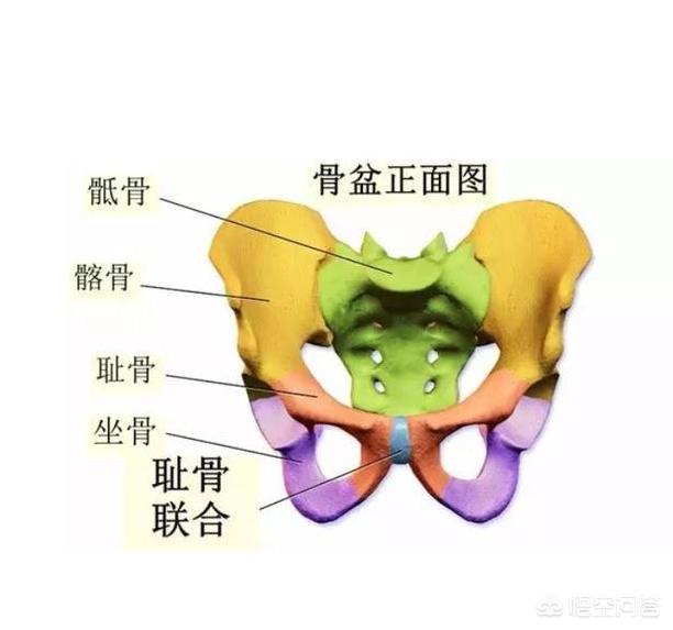 头条问答 - 第一胎一般都生多久?(48个回答)