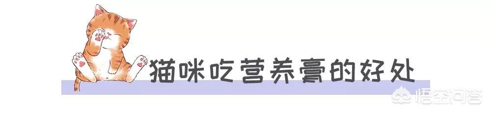 宠儿香猫咪营养膏:猫咪一定要吃营养膏吗?不吃可不可以？