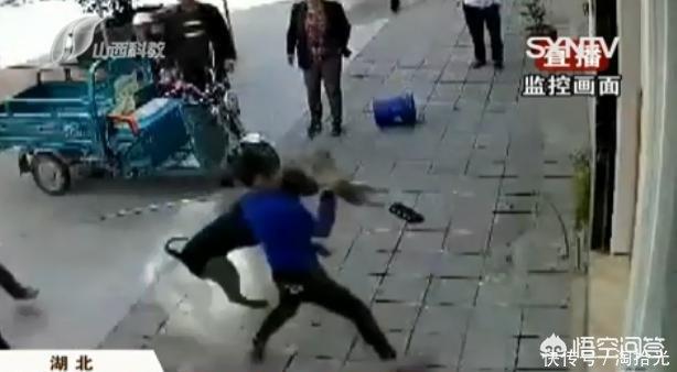 洛阳罗威纳犬价格:违规饲养烈性犬，洛阳一居民被罚1000元, 你怎么看？