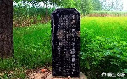 锦州齐三磊枪杀案:历史上哪些名将，是被猪一样的队友给坑死的吗？