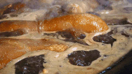 “百年老卤水”为何不变质还更香？插图68