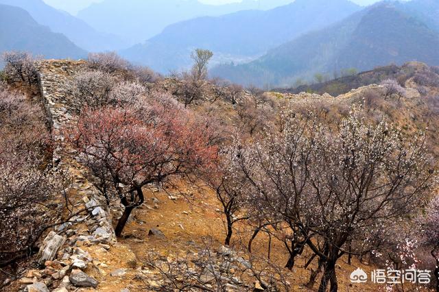 北极沙蟹扑克行:高考后去哪里旅行比较好？