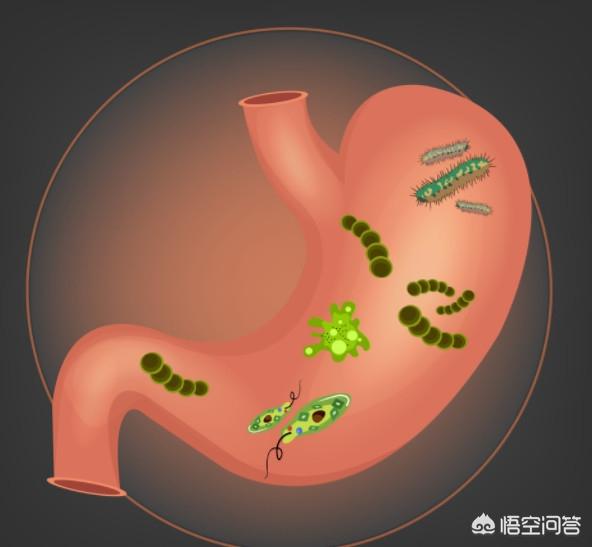 生活中,肠胃不好的人,应该多吃哪些食物,注意哪些问题？