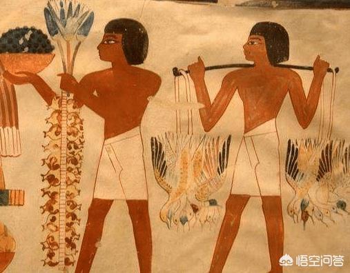 古埃及荒婬史1文古埃及婚姻，埃及历史上有几个女王（罗列出她们的名字和在位时间）
