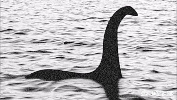世界上存在水怪吗，尼斯湖巨大水怪再现身，清晰照确认为新水怪！它到底是什么生物