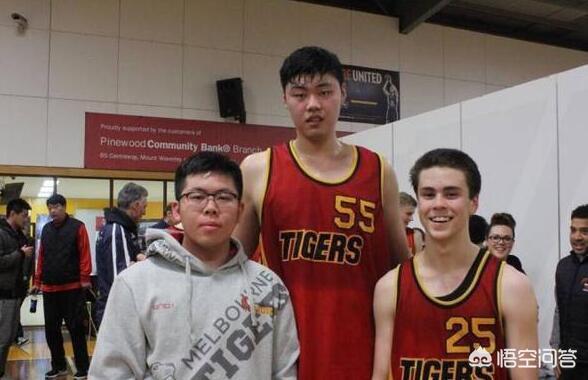李慕豪离队之后，深圳队内还有韩德君接班人赵义明，他什么水平？