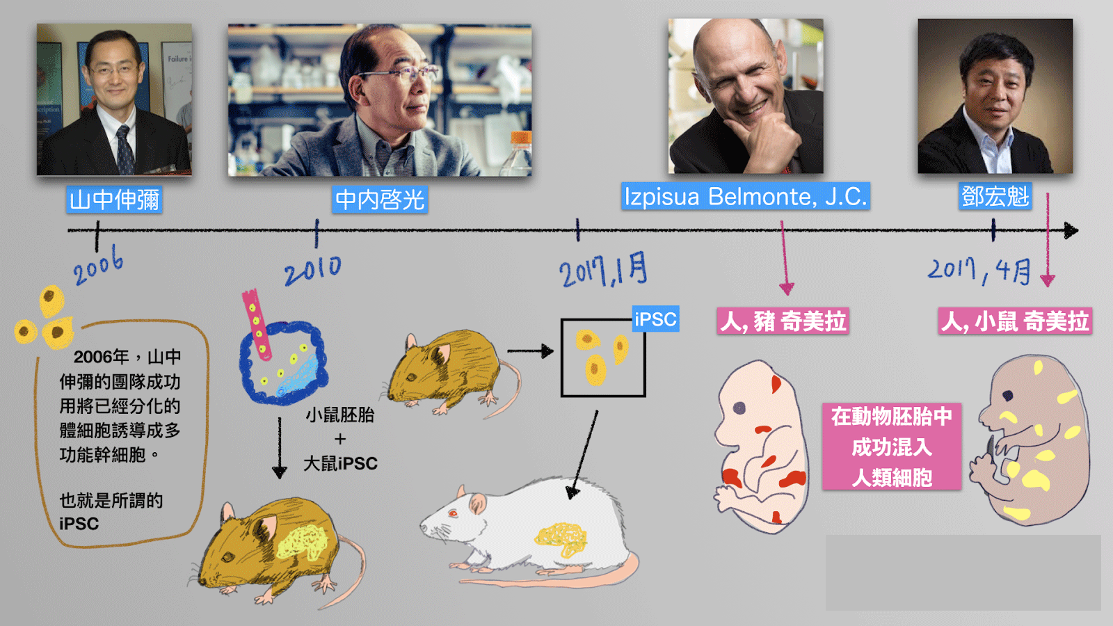 狗和人杂交在线播放:狗的声音在线播放 狗的发情期一般会持续多少天？