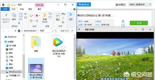 如何下载flv(如何下载flv格式)