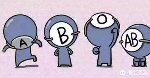宝宝的血型决定智商吗，B型血与O型血生子是否聪明？为什么？