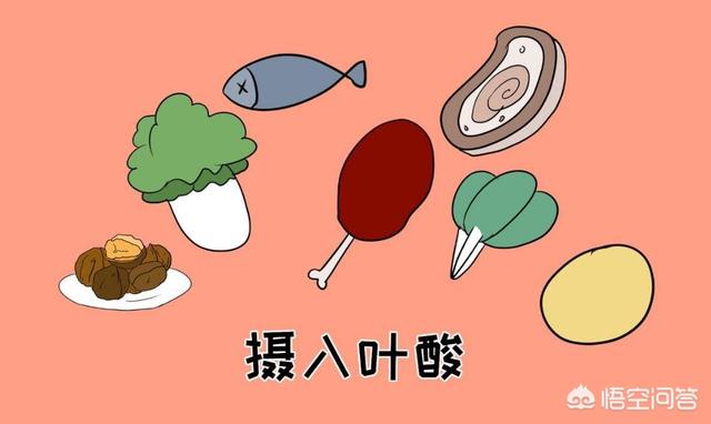 怀孕头三个月，孕妇一日三餐都吃什么？ 孕妇食谱 第2张