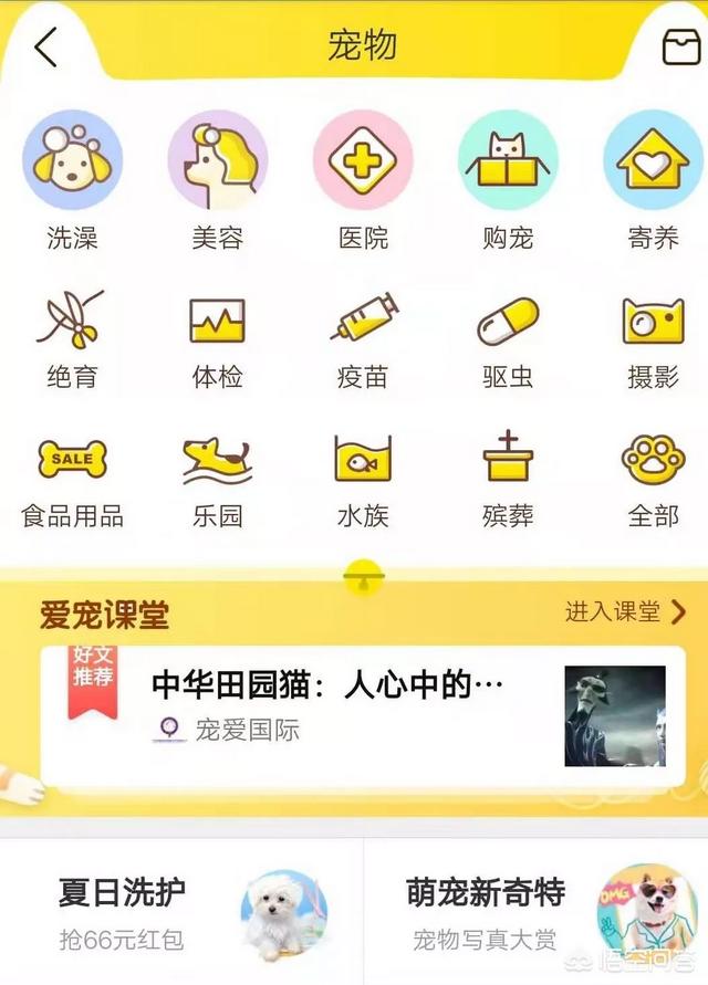 宠物食品市场可行性报告:宠物经济“冷”与“热”，未来是否能够有新的机会？ 宠物食品公司的市场调查报告