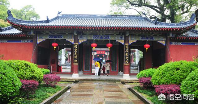 四川挖出50米大蟒蛇:老人常说：家蛇不能打，为什么不能打真的科学吗
