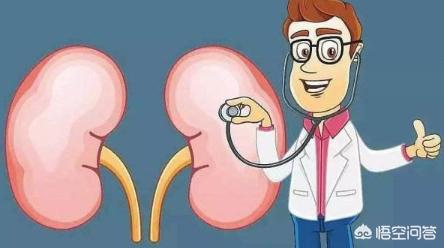 肾病患者如何正确吃蛋,如何选择优质蛋白？