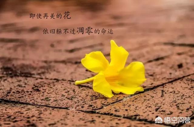 适合发<a href=https://maguai.com/list/256-0-0.html target=_blank class=infotextkey>朋友圈</a>的短句子伤感:有哪些句句心痛的伤感短句子？