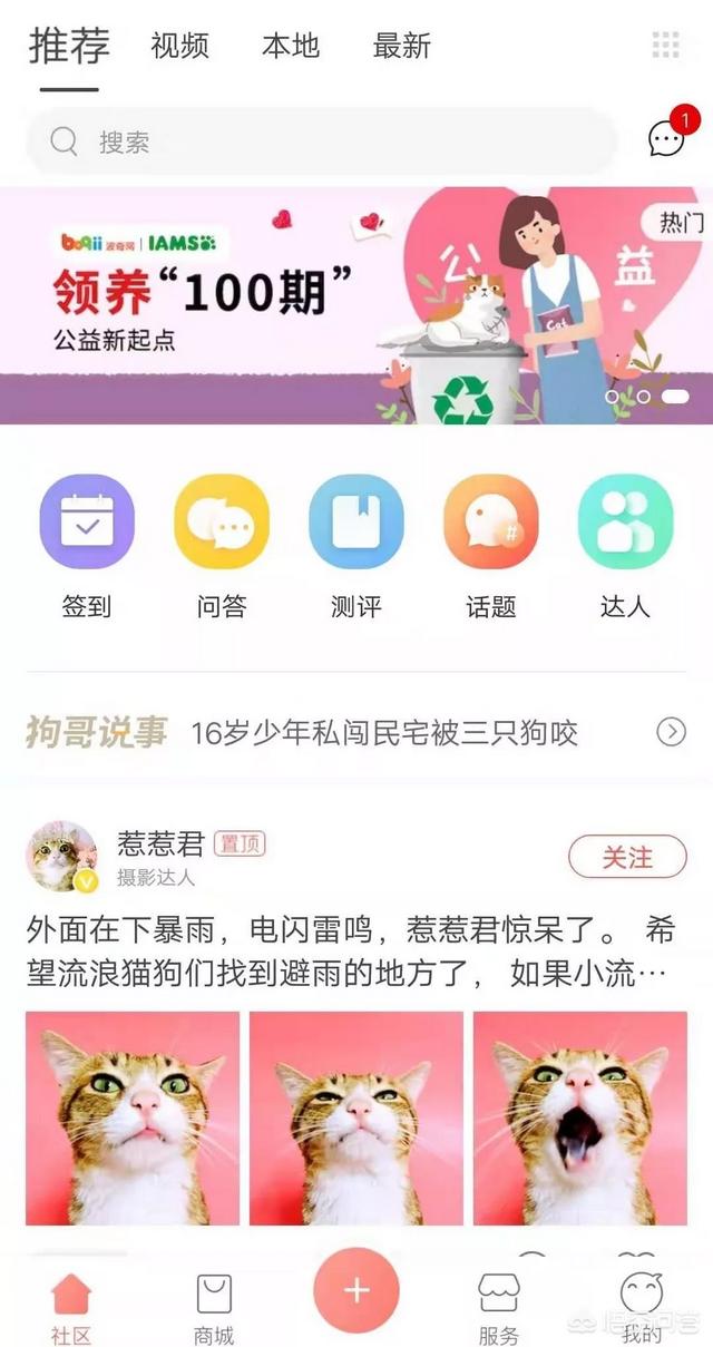 疯狂的小狗产品怎么样:你买过那些所谓的淘宝爆款狗粮吗？狗粮怎么样？