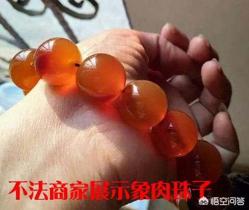 文玩鸟头鹤顶红图片:文玩圈有哪些残忍的带血文玩？这些文玩有什么替代品吗？
