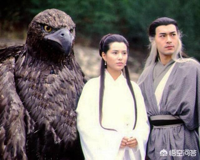 金庸小说里,除了杨过,还有谁号称“雕侠”？