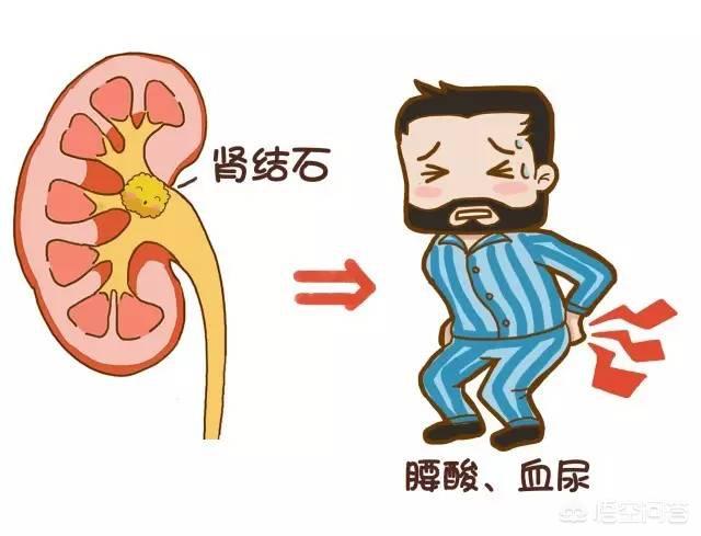 膀胱结石症状:狗狗膀胱结石打完结石还会长吗吃药能打干净不？ 膀胱结石症状有哪些