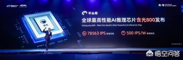 罗斯蔓 800:阿里第一颗自研芯片:含光800,到底多先进？ 罗斯蔓尼詹森月季