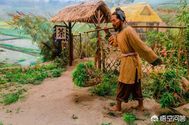 头条问答 - 背头杨主要讲了一个什么故事?(1个回答)