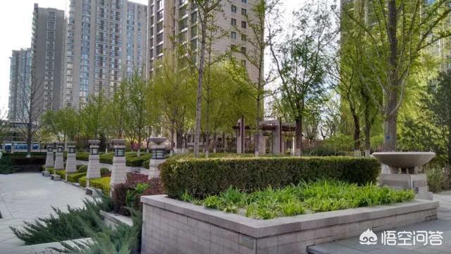 曝贾乃亮独自买醉:当你孤单难过时，独自深夜买醉你会想起谁？