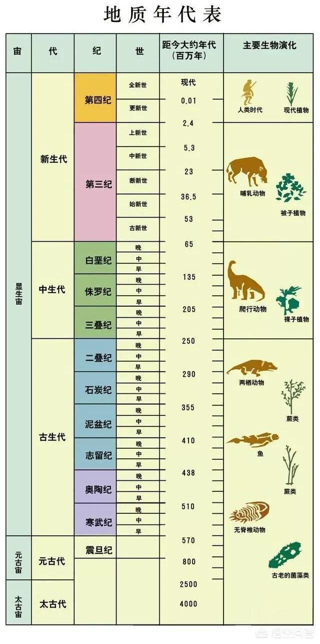 动物交配图:老虎和狮子到底交配成什么？