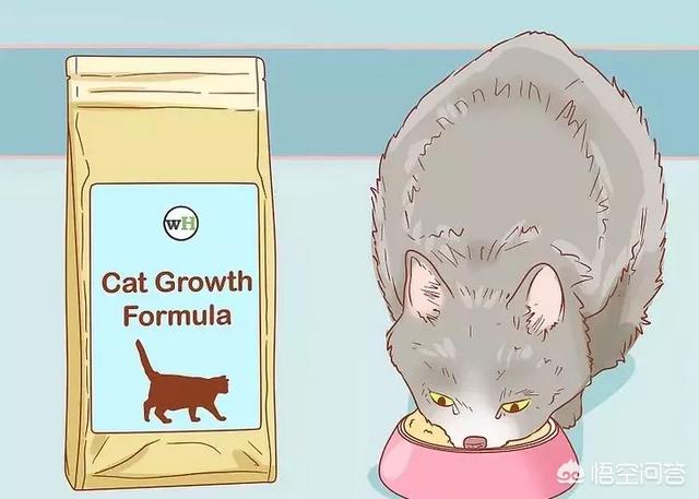 怎么判断猫有没有怀孕,怎么知道猫咪是不是有孩子了？