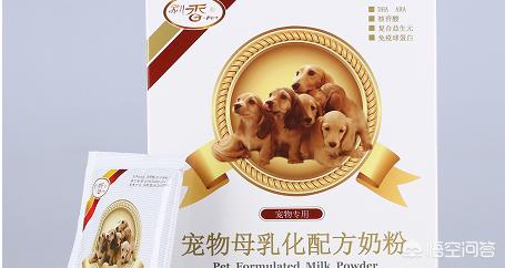 凌晨2点到4点狗一直叫,晚上狗在笼子里一直叫怎么办？