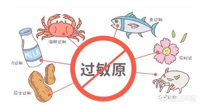 女子对所有食物过敏:食物过敏对孕妈妈的危害有多大？应该怎样避免？