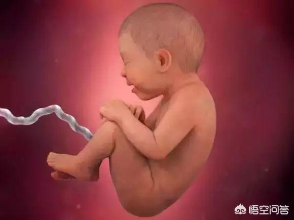 胎儿是37周足月儿吗 多少周生 头条问答