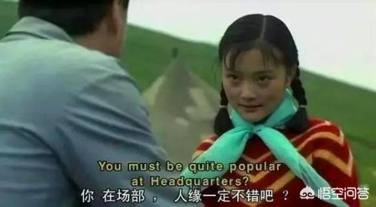 李小璐演过的电视剧:李小璐演过哪些经典的角色，你认为她的演技如何