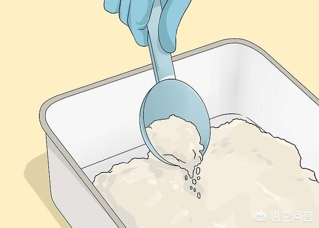 宠物消毒剂多久用一次:多久清理猫砂盆，怎么清理？