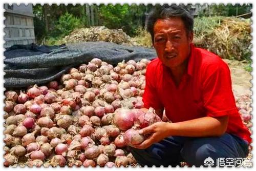 小本生意做什么好赚钱快,没本钱，能做什么生意来钱快？