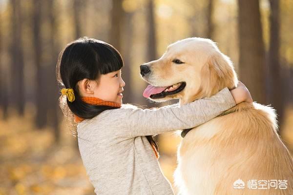 .喂狗吃巧克力可以杀死狗:狗狗不小心吃了巧克力怎么办？