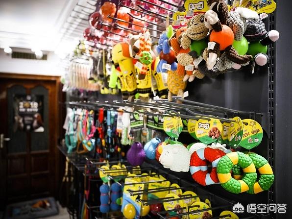 宠物用品团购群名:开宠物店常用的陈列技巧有哪些？