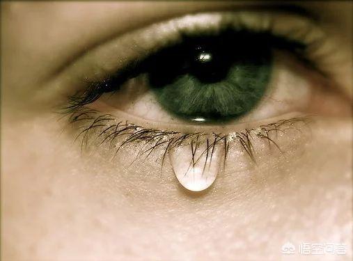 亚马逊的眼泪1，为什么眼泪是咸的眼泪有什么作用