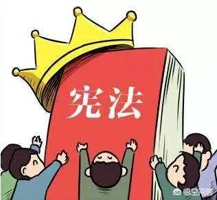 民法典和刑法、宪法之间,有什么区别吗？