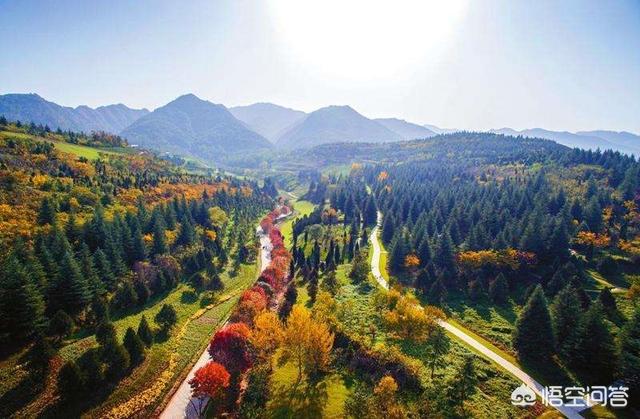 秦岭山脉:秦岭是一座怎样的山秦岭是如何形成的