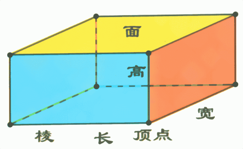长方形和正方形的面积计算公式是怎么来的？:长方形面积怎么算公式 第1张
