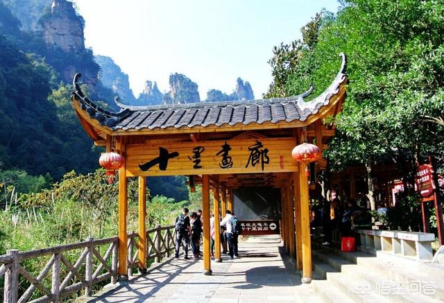 斑马总动员:七月底八月初去哪里适合全家旅游，有老人和小孩（3岁）