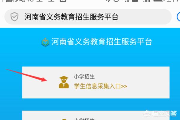 河南省招生服务平台官网：河南省招生服务平台官网登录入口