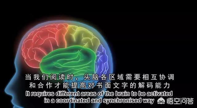 安徽动物学会:麻省理工猴子学会认字，科学家感到担忧，它们会变成新型人类吗？