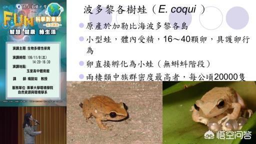 安徽动物学会:麻省理工猴子学会认字，科学家感到担忧，它们会变成新型人类吗？