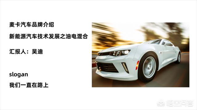 多彩鹦鹉设计素材:宝蓝迷你鹦鹉背景纸选什么颜色好？
