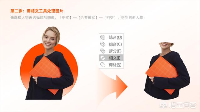 多彩鹦鹉设计素材:宝蓝迷你鹦鹉背景纸选什么颜色好？