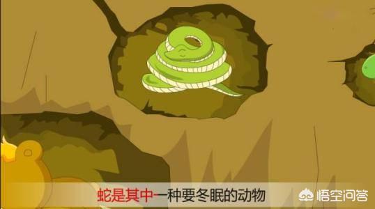 蛇王的大蛇根:你知道蛇的弱点有哪些吗？
