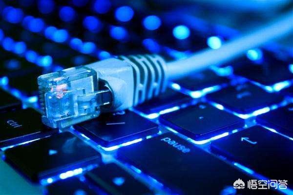 飞跃宠物店管理软件最新版下载:华为最新发布的wifi6 路由器怎么样？