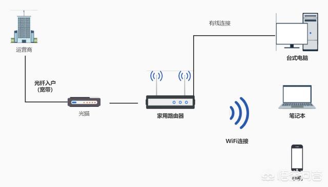 飞跃宠物店管理软件最新版下载:如何提升宠物店的管理效率？