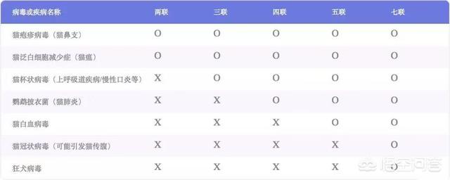 小猫的第一针疫苗什么时候打:小猫出生以后都要在什么时候打哪些疫苗啊？