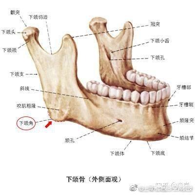 微创拔牙术前准备:拔牙的前后注意事项为哪些？